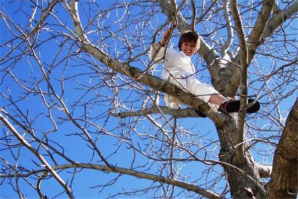 夢見爬樹_周公解夢