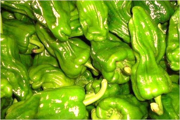 夢到住在河邊有什麼含義_周公解夢官網