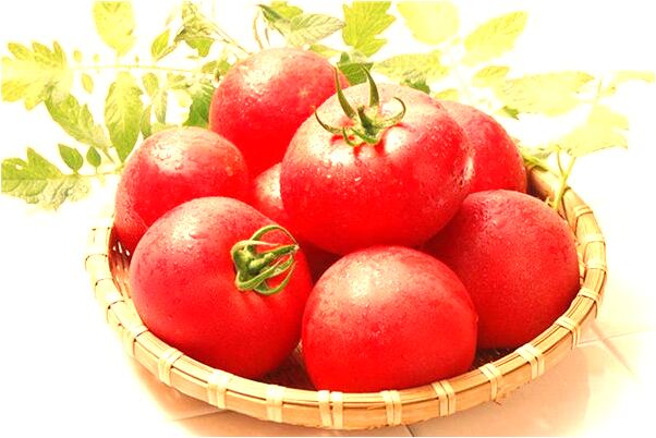 夢到故人上山拾材是咋回事_周公解夢官網