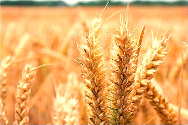 夢到老婆被砍成兩半會怎么樣_周公解夢官網