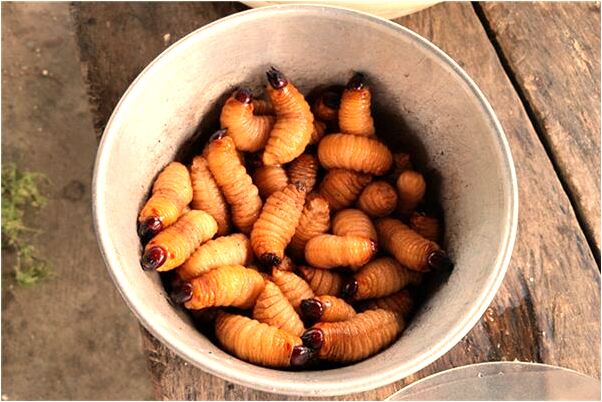 夢見換桌換東西怎么說_周公解夢官網