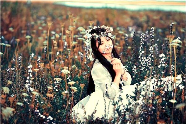 夢到了死蜘蛛死蟑螂個龍蝦螃蟹會是什麼預兆_周公解夢官網