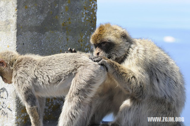 夢見情人和自己在屋_周公解夢夢到情人和自己在屋是什麼意思_做夢夢見情人和自己在屋好不好_周公解夢官網