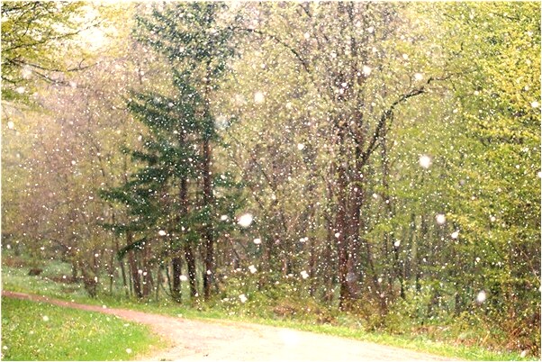 夢見把三個雞蛋拿給別人意味什麼_周公解夢官網