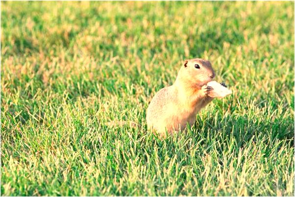 夢見被老師打開頭骨怎么樣_周公解夢官網