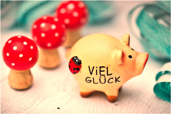 夢到小烏龜向自己走來是凶兆還是吉兆_周公解夢官網