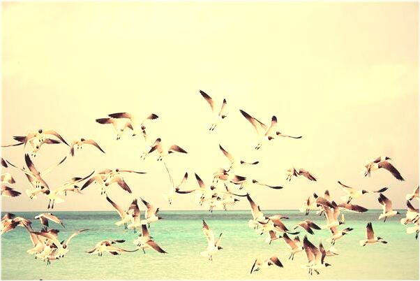 夢見自己叫流血有什麼寓意嗎_周公解夢官網