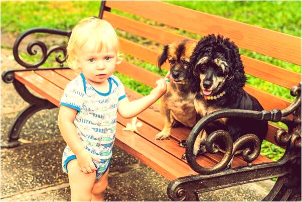 夢見辦公室屋頂塌了預兆了什麼嗎_周公解夢官網