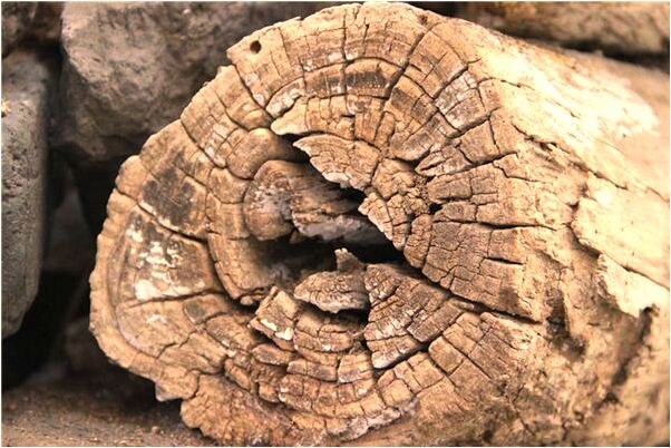 夢到了有人搶錢又追回來會有什麼預兆_周公解夢官網