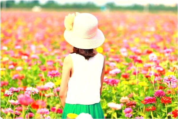 夢到了座車走了一段發現路不通有什麼意思嗎_周公解夢官網