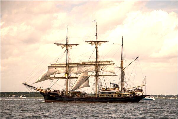 夢到了鳥屎掉在左手掌心意味什麼_周公解夢官網