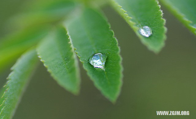 夢見牙斷了半截_周公解夢夢到牙斷了半截是什麼意思_做夢夢見牙斷了半截好不好_周公解夢官網