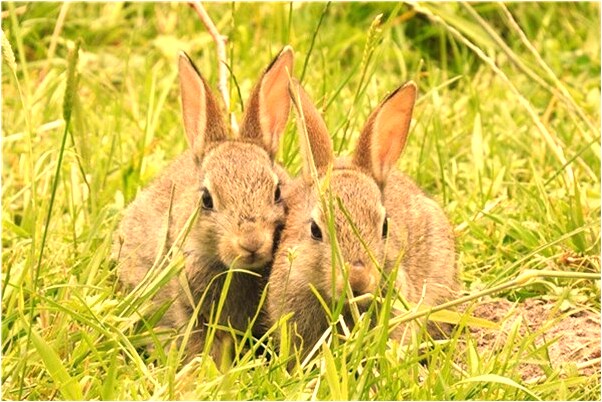 夢見和男醫生發生性關係有什麼說法_周公解夢官網
