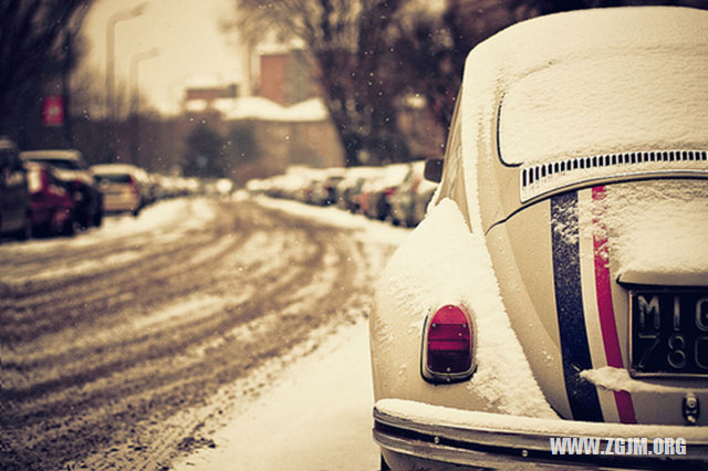 夢見救了只流浪貓_周公解夢夢到救了只流浪貓是什麼意思_做夢夢見救了只流浪貓好不好_周公解夢官網