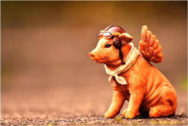 夢見找和尚借錢是吉兆嗎?_周公解夢官網