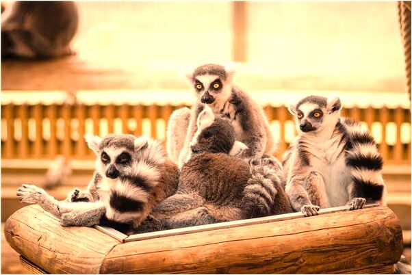 夢見漂亮的衣裳是什麼預兆？_周公解夢官網