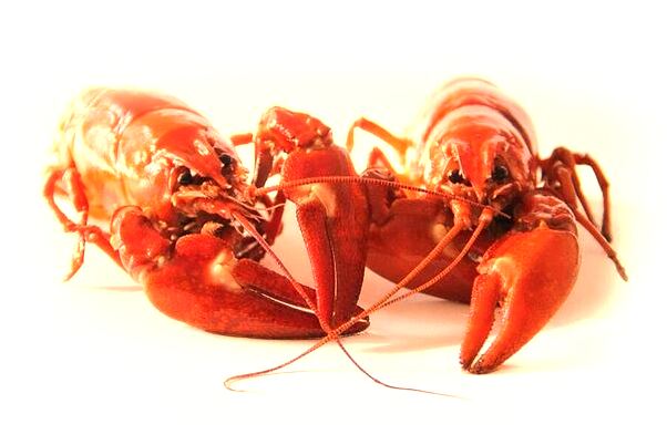 夢到了穿戲衣是什麼兆頭_周公解夢官網