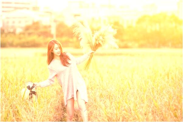 夢見樹上的果子金黃金黃的有什麼含義_周公解夢官網