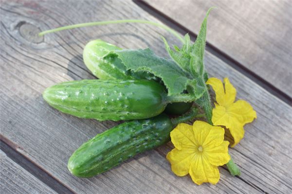 夢見偷黃瓜是什麼意思_周公解夢