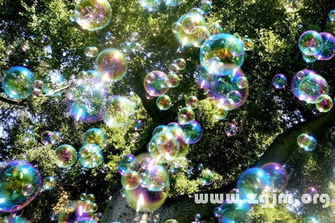 Dream of a bubble