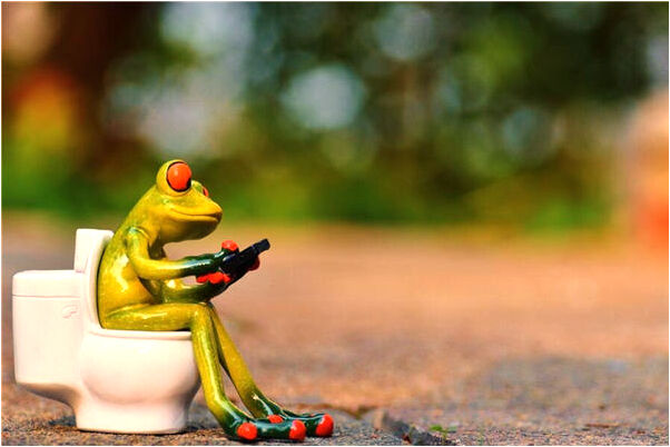 夢到了兩隻鳳凰飛天是好事還是壞事_周公解夢官網