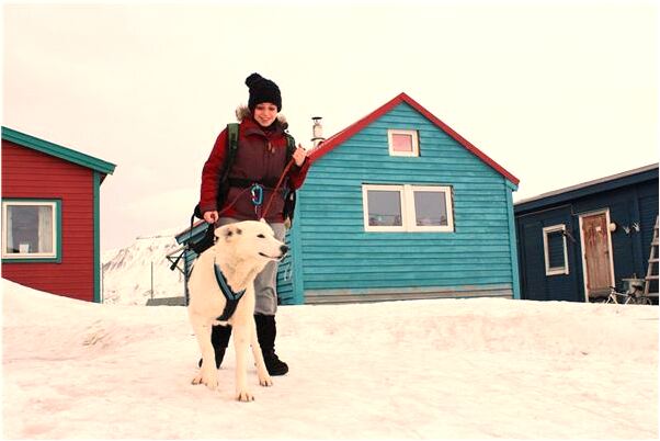 夢到白色小狐狸自己很害怕有什麼寓意嗎？_周公解夢官網