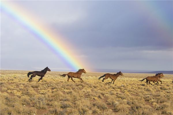 1990年屬馬幾月出生好_十二生肖