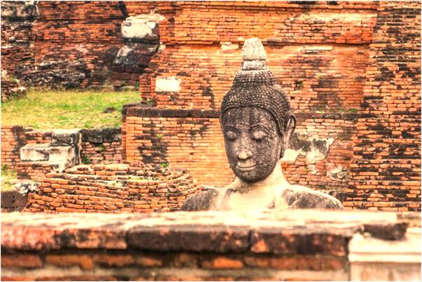 夢見全身是糞便有何寓意_周公解夢官網