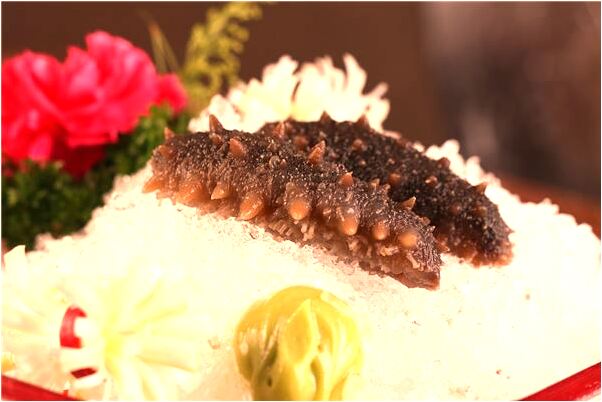 夢到兔子腿被砍斷了是好是壞_周公解夢官網