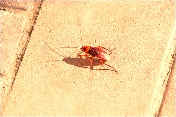 夢到了在水裡殺人有何寓意_周公解夢官網