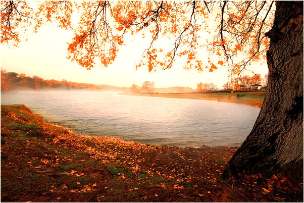 夢到沒駕駛証可以上路代表著什麼_周公解夢官網