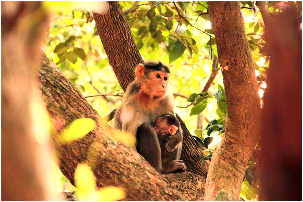 夢見玩生殖器官是什麼意思?_周公解夢官網