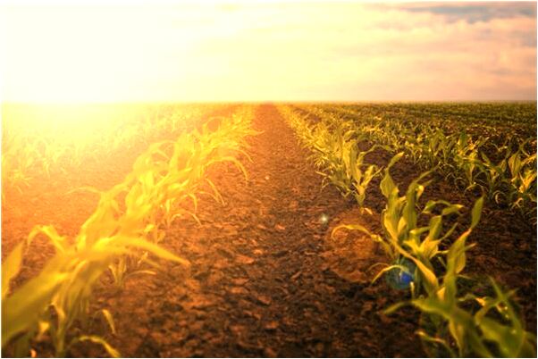 夢到個和人發生矛盾預示什麼_周公解夢官網