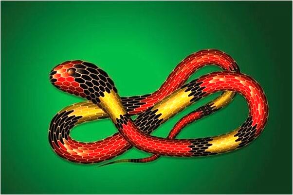 夢到了自己測懷孕沒測出來會是什麼預兆_周公解夢官網