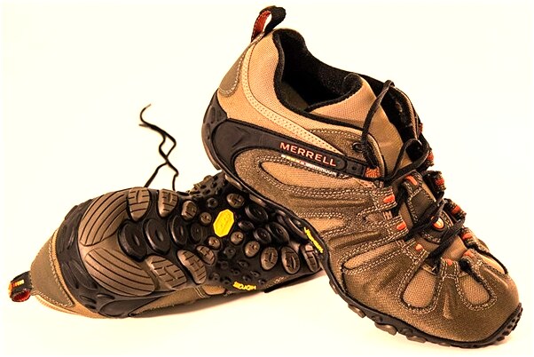 夢到一群仙鶴朝自己飛來是好的徵兆嗎_周公解夢官網