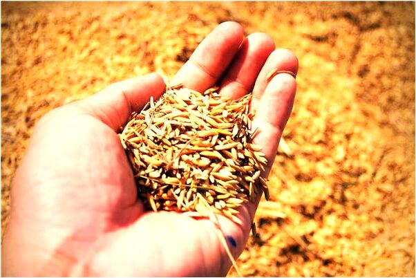 夢到我冬遊是什麼兆頭_周公解夢官網