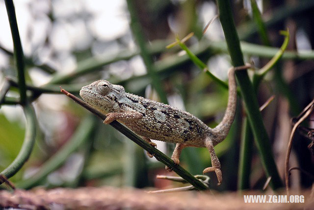夢見曬穀子_周公解夢夢到曬穀子是什麼意思_做夢夢見曬穀子好不好_周公解夢官網