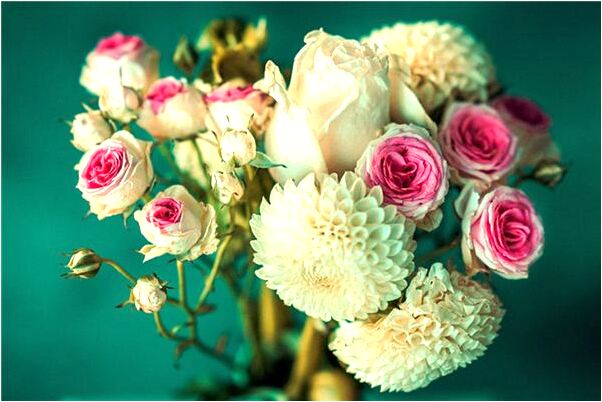 夢到女友懷孕的訊息是啥意思_周公解夢官網