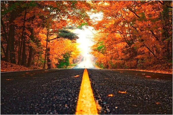 夢到了前女友上廁所露屁股解大手代表什麼_周公解夢官網