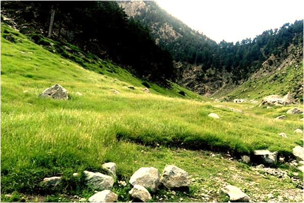 夢到了窮的只剩幾瓶牙膏有什麼含義_周公解夢官網