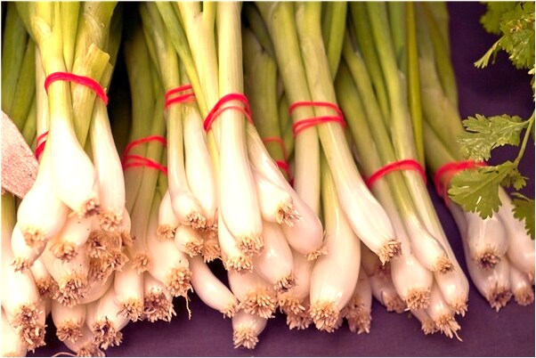 夢到自己別人出血會是什麼預兆_周公解夢官網