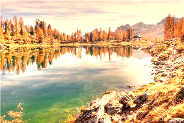 夢見想搬進隔壁的出租房住怎么回事_周公解夢官網