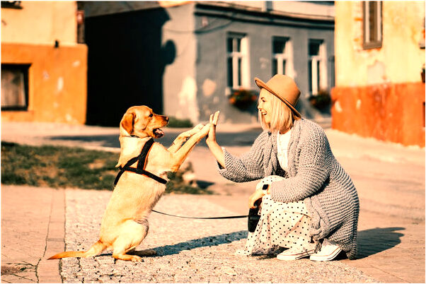 夢見死去的婆婆還活著有何寓意_周公解夢官網