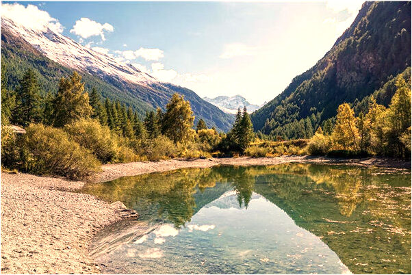 夢到女人哭著吐我車裡會有什麼預兆_周公解夢官網