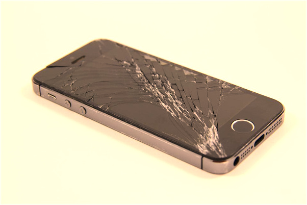 夢到了父母一起挖到四擔筍是啥意思_周公解夢官網