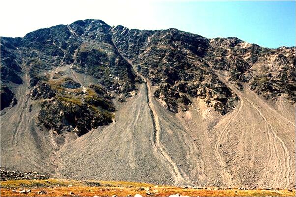 夢見給老爸看手相意味著什麼_周公解夢官網