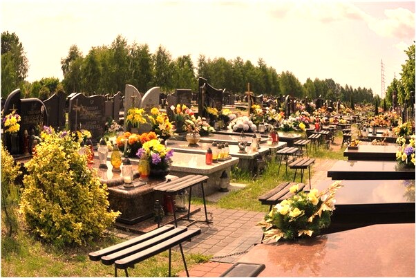 夢見被狗輕咬胳膊不放意味著什麼_周公解夢官網