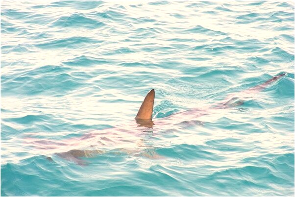 夢到丈母娘對我笑是什麼啟示_周公解夢官網