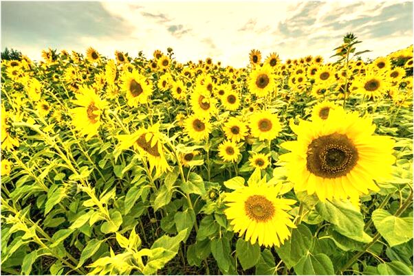 夢到地上有好多錢代表著什麼？_周公解夢官網