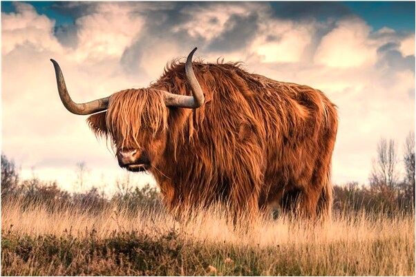 夢到了女人大莽蛇是啥預兆_周公解夢官網